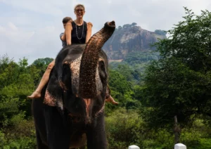 10 expériences incontournables à vivre au Sri Lanka