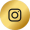icon-ins